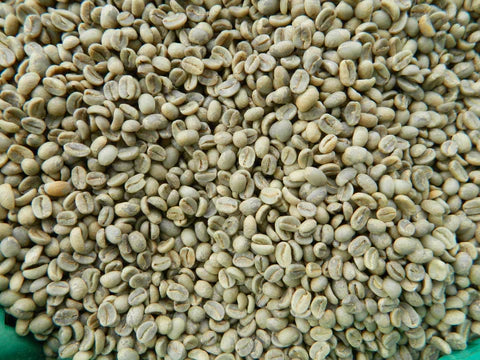 Bolivia Organic Yungas