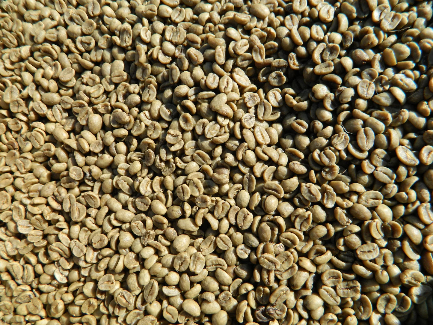 Decaf Colombia Excelso EP