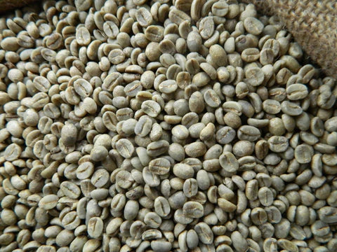 El Salvador La Esperanza Bourbon
