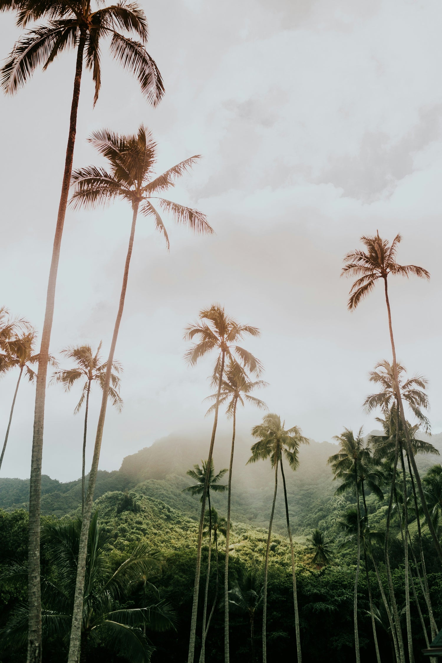 Hawaii