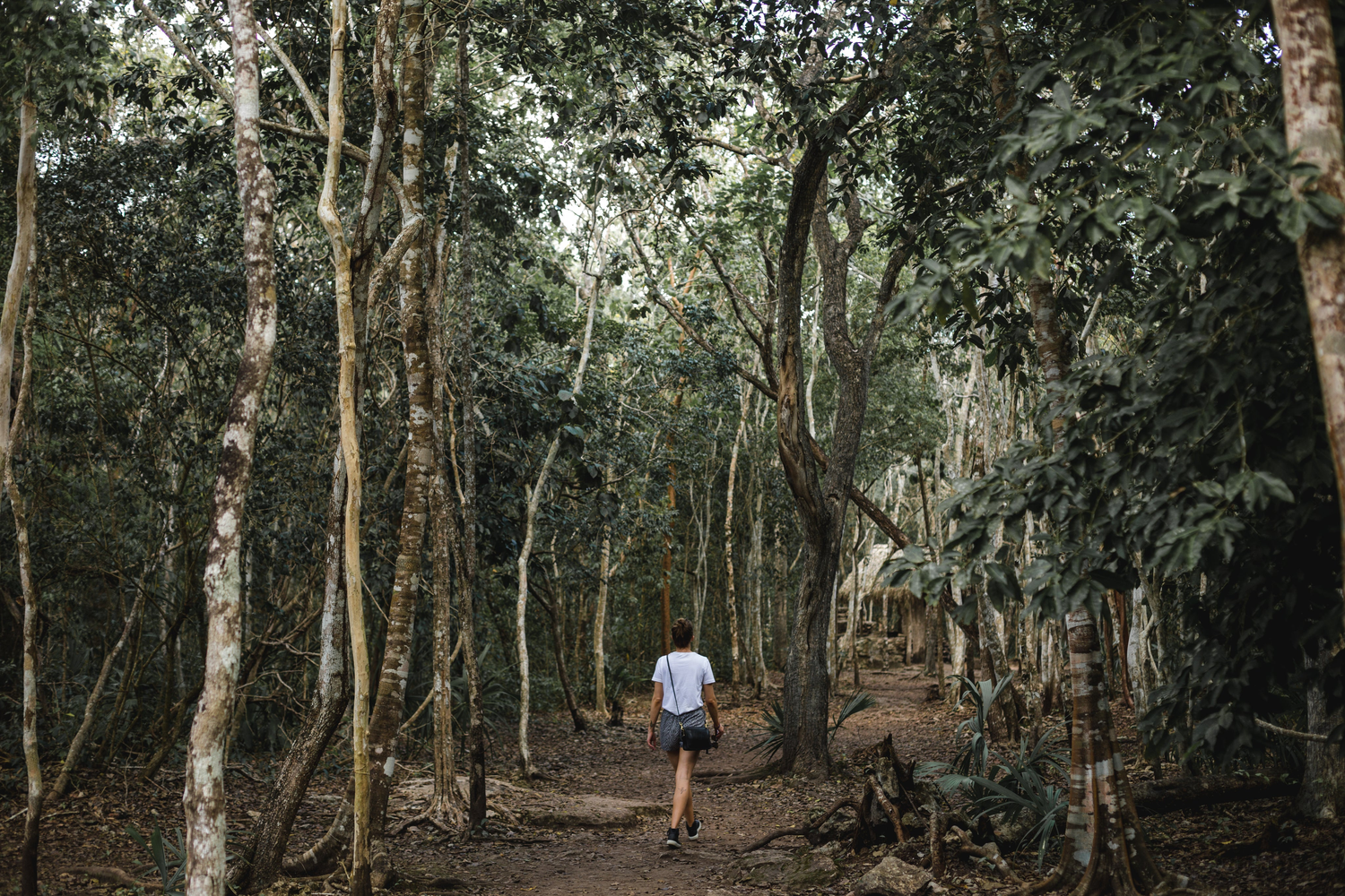 Central America