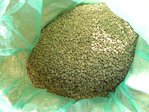 Haiti Blue Mountain Organic
